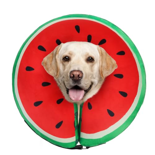 Recovery Donut Collar for Medium Large Dogs (Red Watermelon / XL(Neck 18"-21"))
