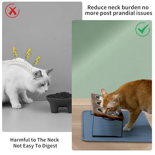 Upgraded Elevated Cat Bowls with Food Mat
