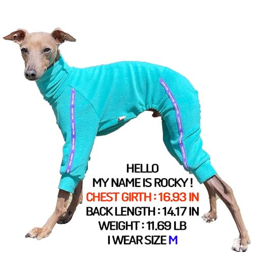 D Doggy Star Italian Greyhound Clothes Stretchy Towel Sports Onesie Outfit Whippet for Dog Coat (2XL / Towel Turquoise)