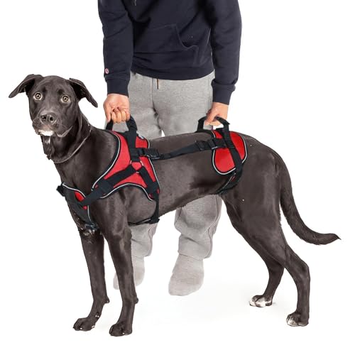 Multi Functional Full (Girth 20-25" / Red)