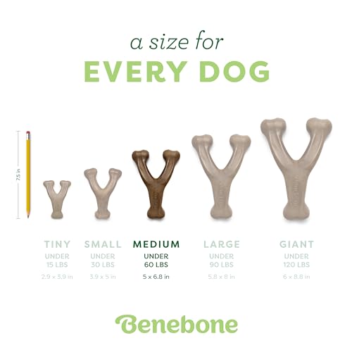 2 Pack Wishbone Toy for Aggressive Chewers (2 Pack - Medium)
