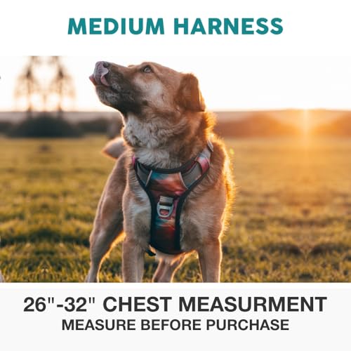 Embark No Pull Dog Harness (M / Aurora)