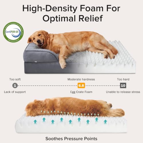 Orthopedic Extra Large Dog Bed (XXL (48"x 35"x 8") / Dark Grey)