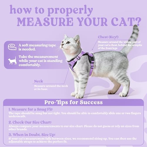 Cat Harness and Leash Set (M / Light Purple)