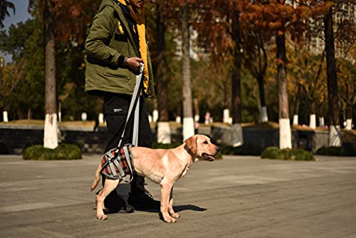 Dog Lift Harness (Small / Hind Legs-Orange)