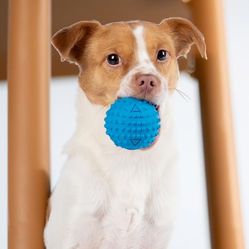 Interactive Squeaky Dog Chew Toy (Spiky Ball (Blue, Orange) / Medium)