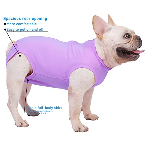 Dog Surgery Recovery Suit (XS(Back 8 - 10" Chest 12 - 14" Weight 4 - 8lb) / Purple)