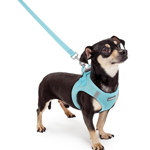 Dog Harness Small Sized and Leash Set (Mint Blue / Xxxs (chest: 10.8 - 11.8"))