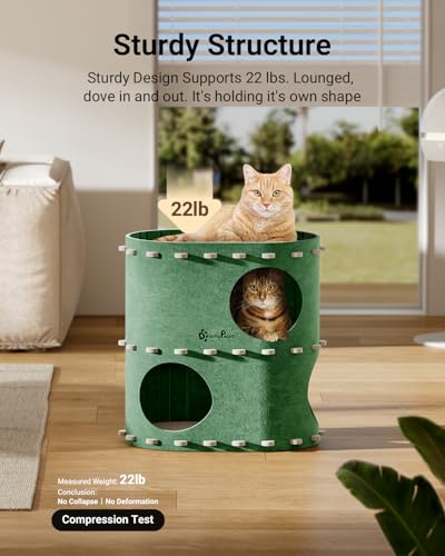 Cat House for Indoor Cats (Forest / Double)