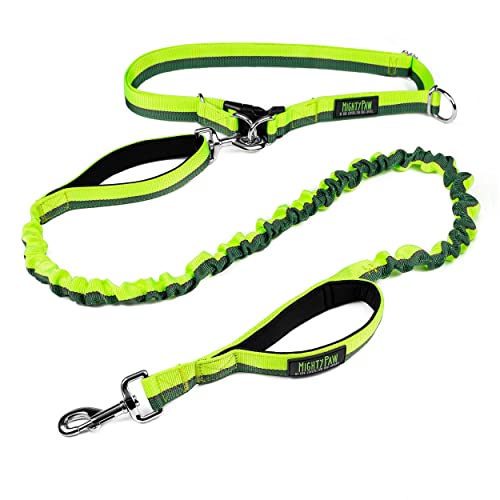 Hands Free Dog Leash (48" / Green)