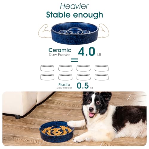 Slow Feeder Dog Bowl (L - 3 Cups / Blue)