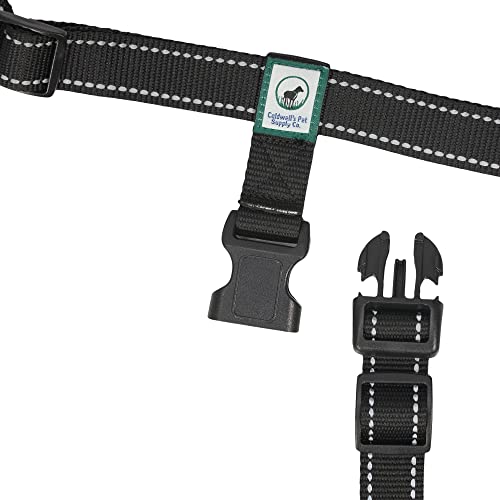 Hands Free Dog Leash - PetSolution