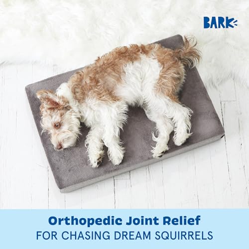 Orthopedic Dog Bed (Grey / Small)