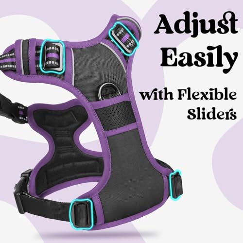 Dog Harness for Large (Large / Black & Purple)