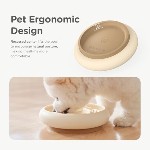 Slow Feeder Dog Bowls Made of Premium Food (Ivory / Standard)
