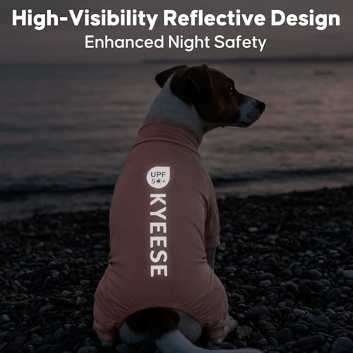 UPF50+ Dog Sun Shirt for Small Dogs Cooling Onesie for UV Protection (Large (15-22lbs) / Pink)