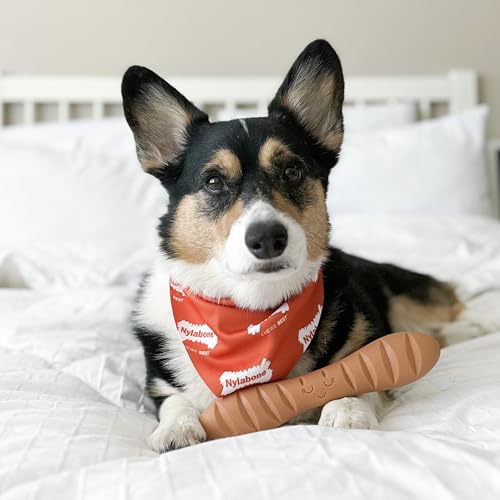 Baguette Power Chew Toy for Dogs (Baguette 1 Pack / Large)