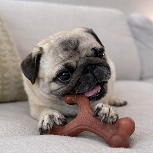 Strong Chew Wishbone Dog Toy (Wishbone / Small)