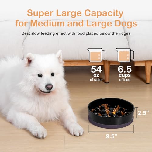 Ceramic Slow Feeder Dog Bowls for Medium Large Breed (Large-9.5 inches / Black)