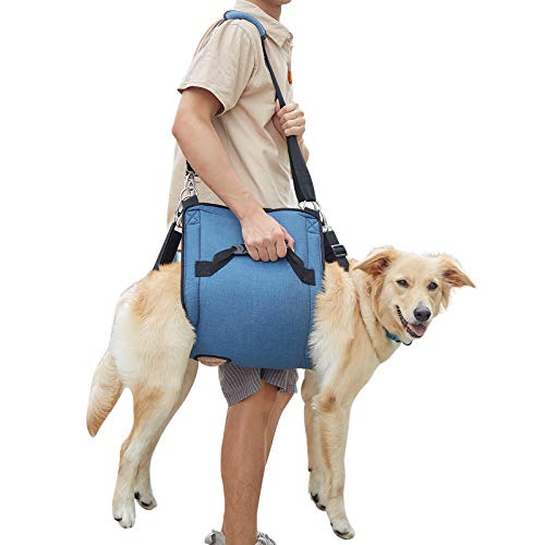 Dog Carry Sling (XX-Large / Blue)