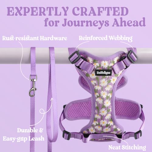 Cat Harness and Leash Set (Xxs / Purr-ple Daisy)