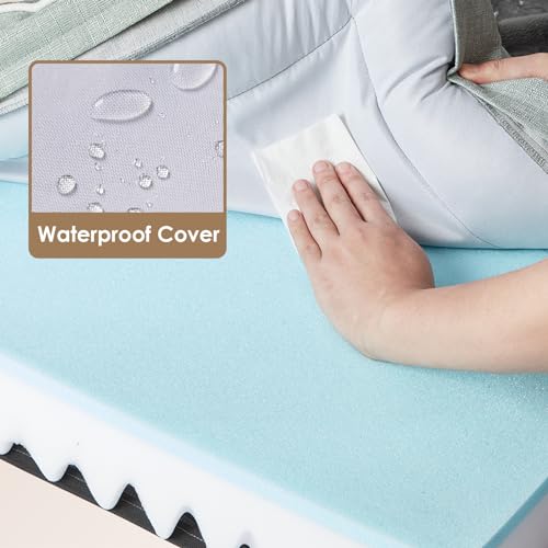 Orthopedic Dog Beds Large Sized Dog (Greyish Green / 36.0"l X 27.0"w X 6.5"th)