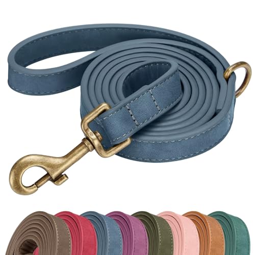 PU Leather Dog Leash for Medium Large Dogs (Blue / 3/4''x 5FT)