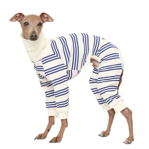 D Doggy Star Italian Greyhound Clothes Soft Stretchy Onesie Refined Stripe Outfit Whippet for Dog Coat (M / Onesie Blue Stripe)