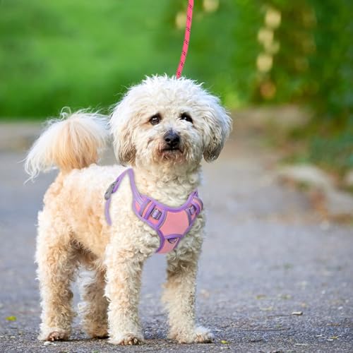 Dog Harness for Small Sized Dog No Pull Dog Vest ID Tag Pocket (Baby Pink & Violet Purple / X-Small)