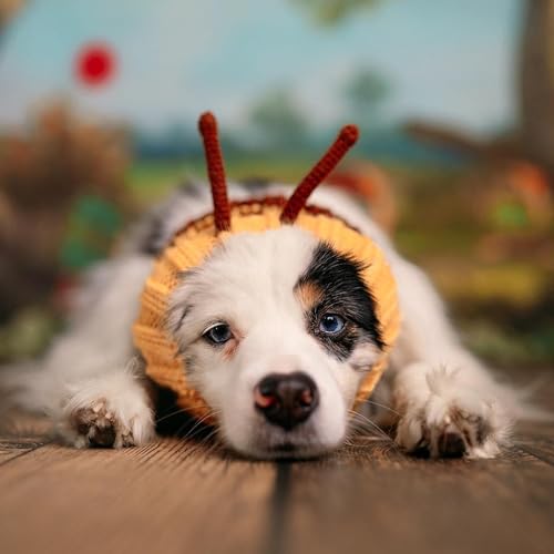 Bumble Bee Costume (Small)