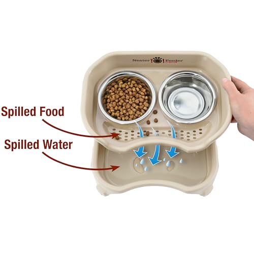 Express Mess Proof Dog Bowls Elevated for Small Breeds Under 15 Lb (Small w/ Standard Bowls / Almond)