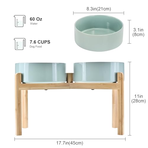 Elevated Dog Bowls Ceramic (8.3 in - 7.6 cups / Light Green)