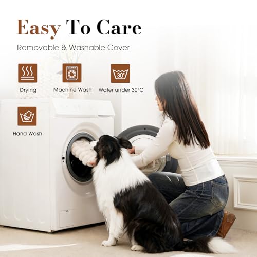 Medium Dog Bed Orthopedic Foam with Waterproof Lining (M(30"*20"*3") / Cream)