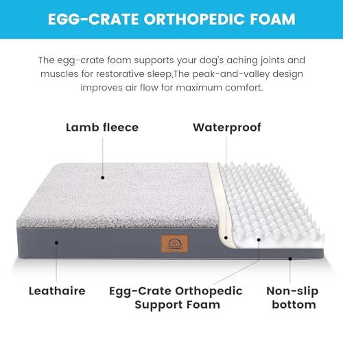 Washable Orthopedic Large Dog Bed (Grey / 36.0"L x 27.0"W x 3.0"Th)