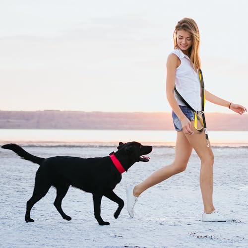 Heavy Duty Dog Leash for Large Dogs (Violet)