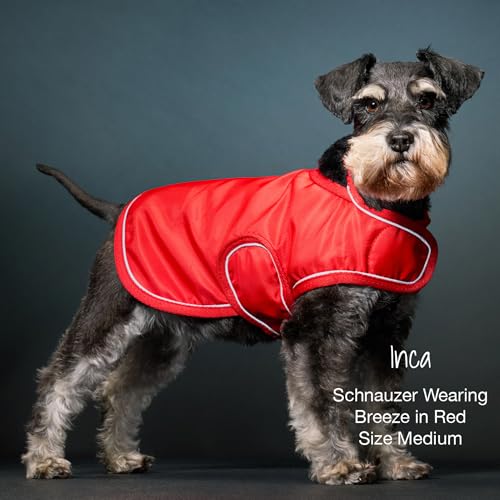 Breeze II Dog Raincoat (Red / X-Large (55-80 lbs))