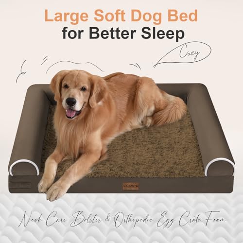 Orthopedic Dog Bed for Medium Dogs (Coffee / 30.0"L x 20.0"W x 6.0"Th)