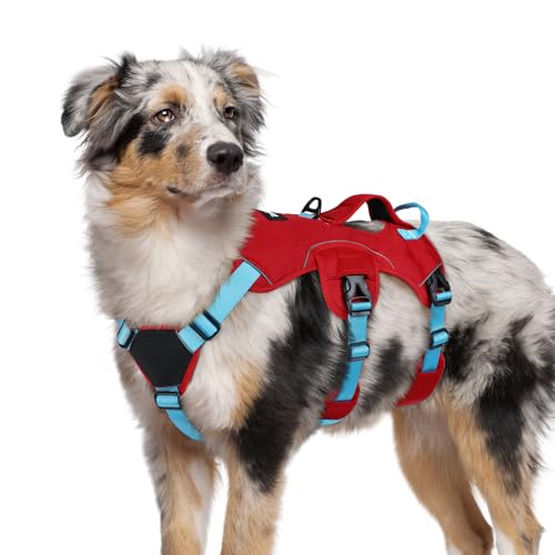 Escape Proof Dog Harness for Medium (Sky Blue & Red / Medium)