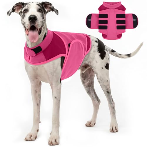 Dogs Anxiety Vest for Great Dane (Rosered / XX-Large (Chest: 35.4''-41.3''))