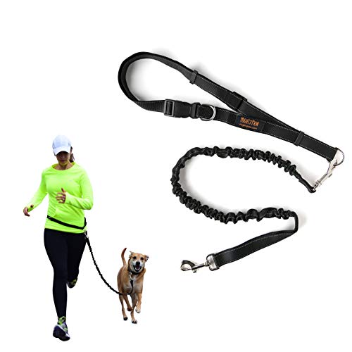 Hands Free Dog Leash (48" / Black)