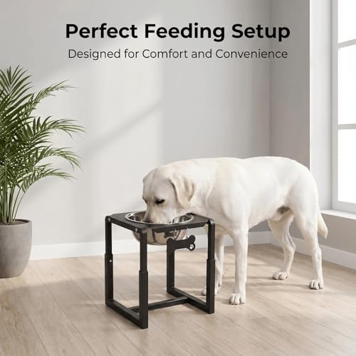 Metal Elevated Dog Bowls (8.8-14" | M/L/XL Dogs | 1×111oz Bowls)