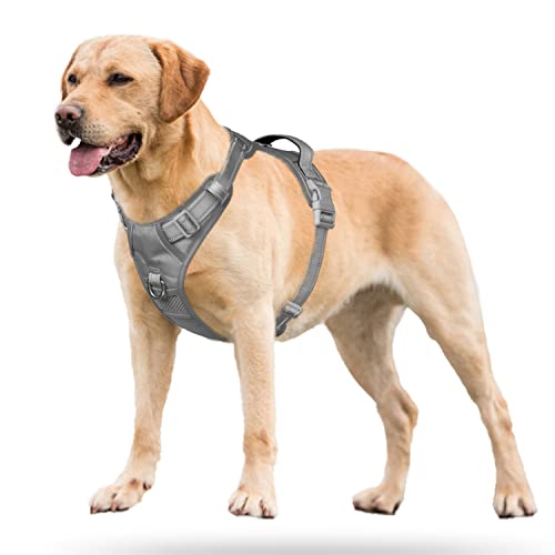 No Pull Dog Harness (S / Grey(Matching Trim))