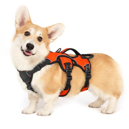 Escape Proof Dog Harness for Small (Orange / Small)