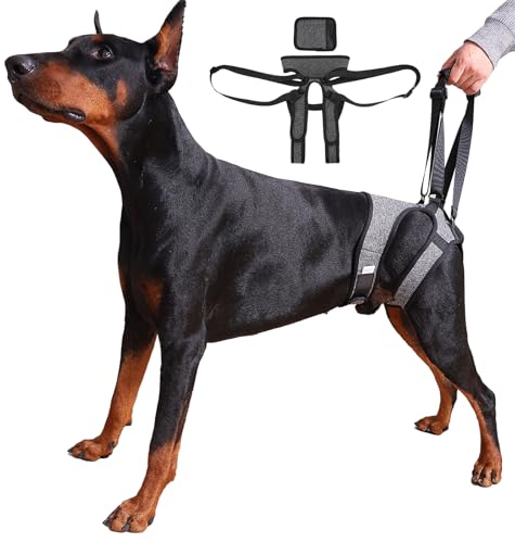 Dog Lift Harness (M / Grey)