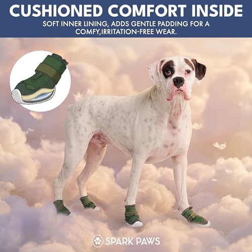 365 Dog Shoes (Green / Size 3: 2"x2.36"(W*L) (Pack of 4))