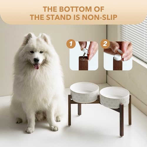 Elevated Dog Bowls (Double Bowls with Stand- Arctic White / 7.6CUPS)