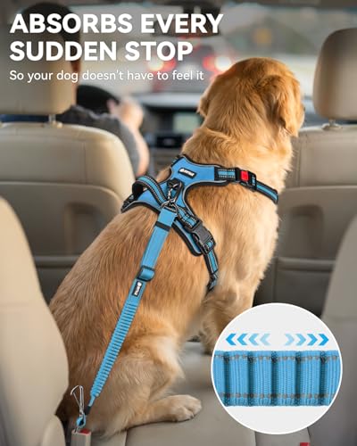3-in-1 Bungee Dog Seat Belt for Car, Medium Large Dogs, Sky Blue (Sky Blue / (21.6-31.5) inch)