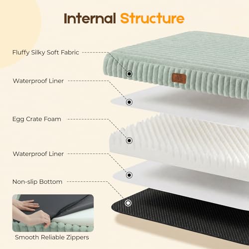 Orthopedic Dog Bed for XL Dog (Green / 41"x27"x4")