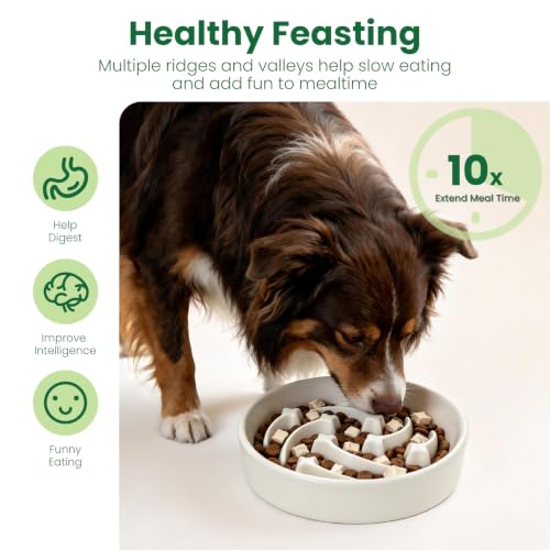 Ceramic Slow Feeder Dog Bowl for Small and Medium Breed 9.05inch Diameter Puzzle Dog Food Bowl Anti (Beige)