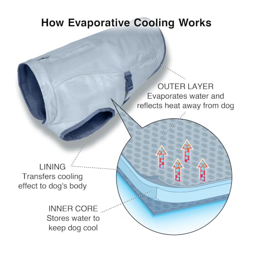 Core Cooling Vest (X-Large)